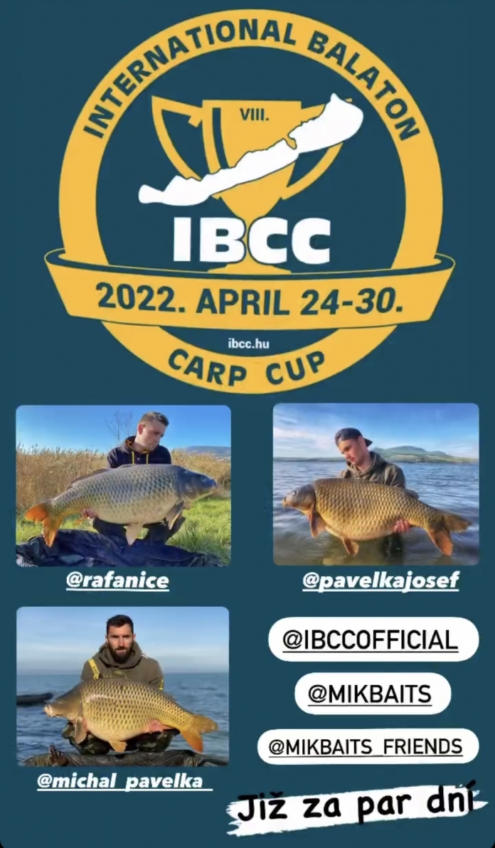 IBCC 2022