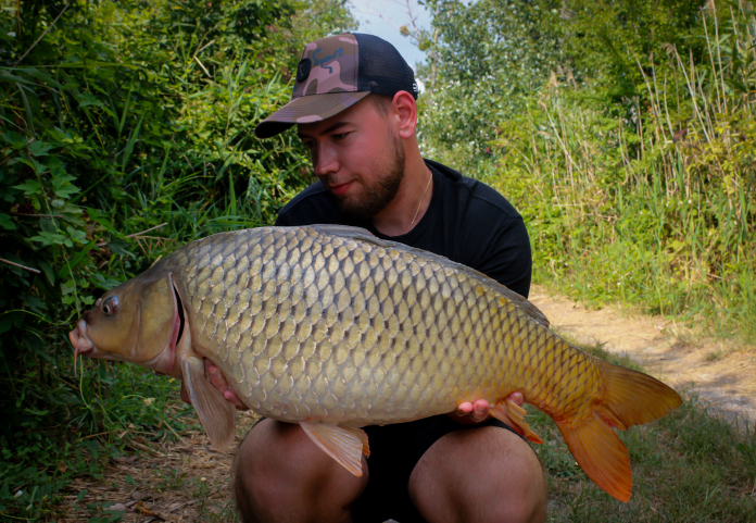 Arizona carp lake