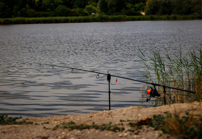 Arizona carp lake